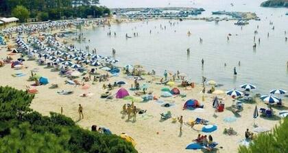 Apartment Maja, (13474), Lopar, hr