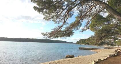 Ferienwohnungen Rezika, (14127), Palit, hr