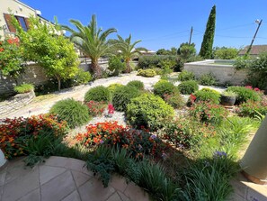 Property grounds - Apartments Aleksandar, (14509), Premantura, hr (Premantura)