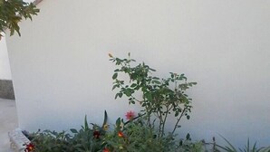 Photo non classée, 4 sur 20, bouton