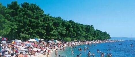 Plage à proximité