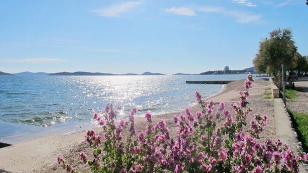 Beach - Apartments Davor, (12830), Vodice, hr (Vodice)