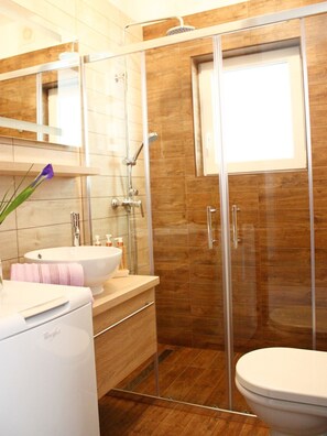 Shower, hair dryer