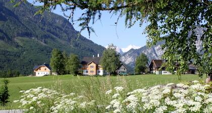 Viihtyisä huoneisto tilalla