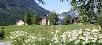 Cosy, rural Apartment