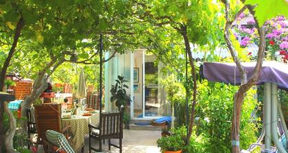 Holiday home Željko, (13634), Sucuraj, hr