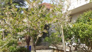 Property grounds - Apartments Jerolim, (11300), Biograd na moru, hr (Biograd na Moru)