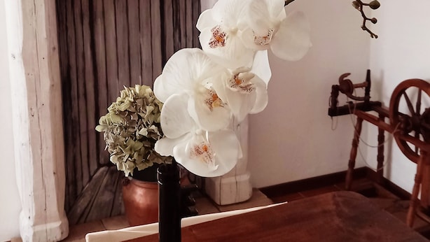 A room with a wooden table, a potted orchid, and a fireplace with a mantel decorated with books and flowers. - A genuine stay in Friuli... (Grions)