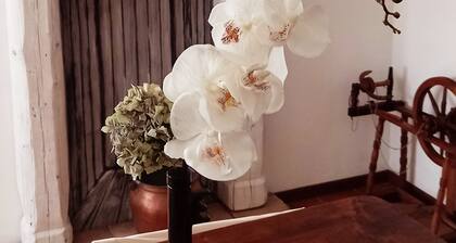 A genuine stay in Friuli...