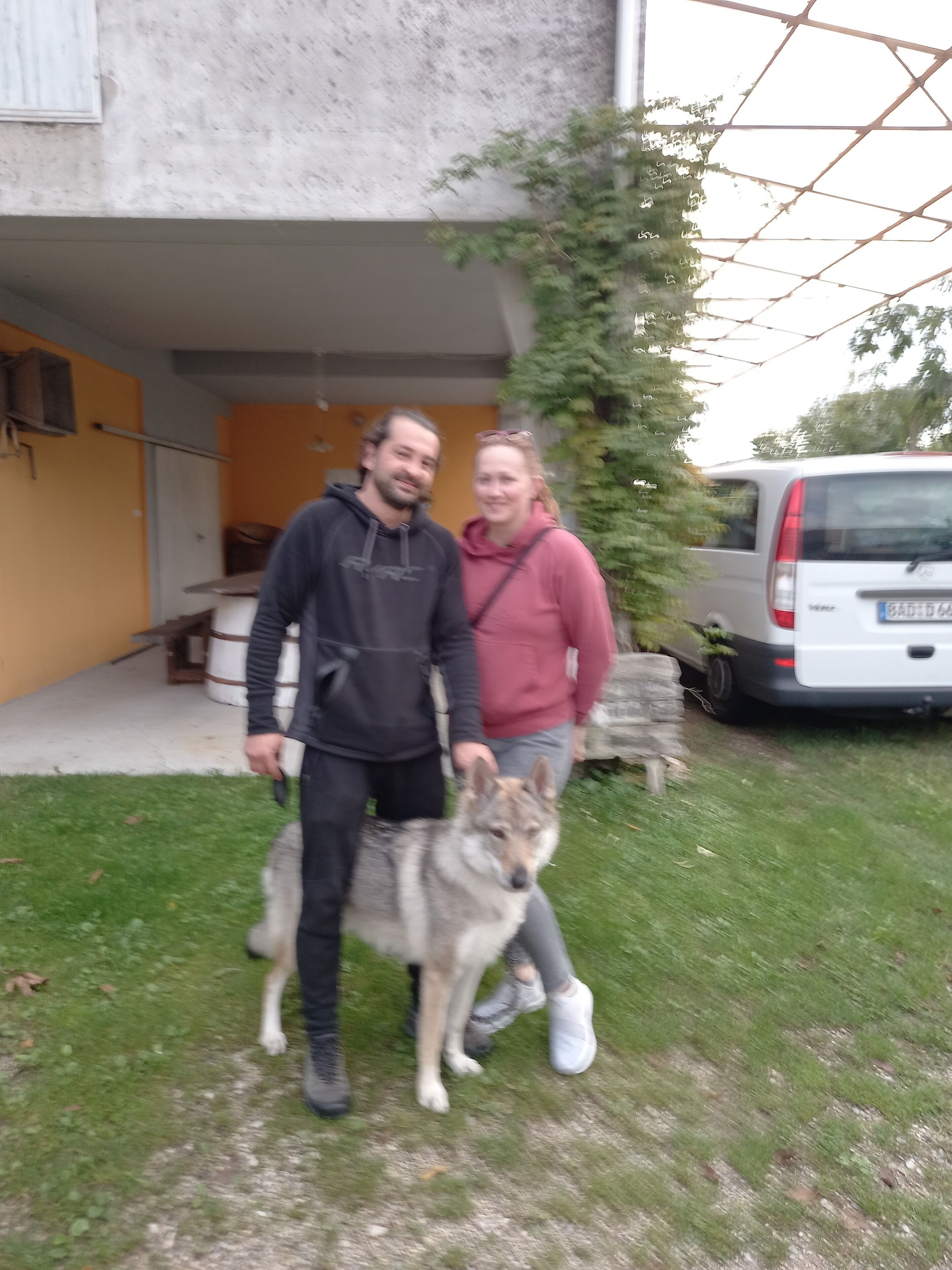 A man and woman standing with a dog in a residential area.