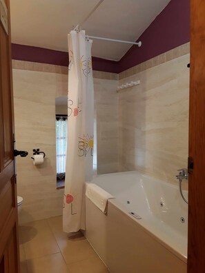 Douche, baignoire à jets, sèche-cheveux, serviettes fournies