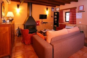 テレビ、暖炉、DVD プレーヤー、書庫