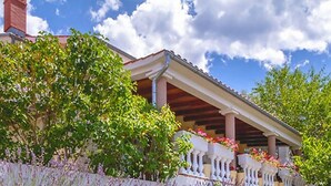 Exterior - Apartments and rooms Petrica, (13274), Njivice, hr (Njivice)