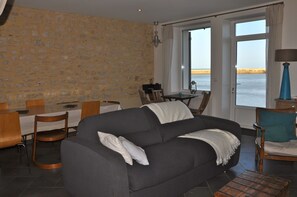 Televisión, chimenea, reproductor de DVD y libros 