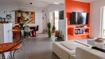 Televisie, een dvd-speler, boeken en een muziekbibliotheek