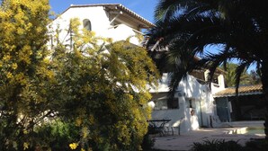 A white building with a tiled roof, a patio with outdoor furniture, and a palm tree.