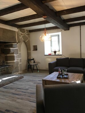 TV, fireplace, books