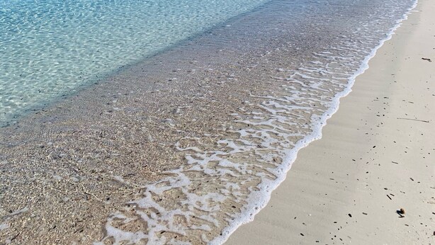 Una playa con agua cristalina, orilla de arena y una colina boscosa al fondo.