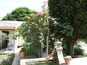 Terrein van de accommodatie