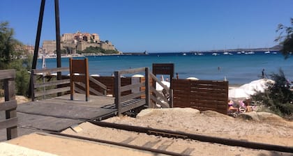 Available 13 July/10August.Calvi center, large terrace, air cond,beach