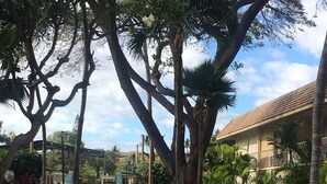 A residential area with a house, a bench, and a car. - KIHEI KAI NANI #6-246  Beautiful open view with  Ocean/Pool in Tropical Garden (Kihei)