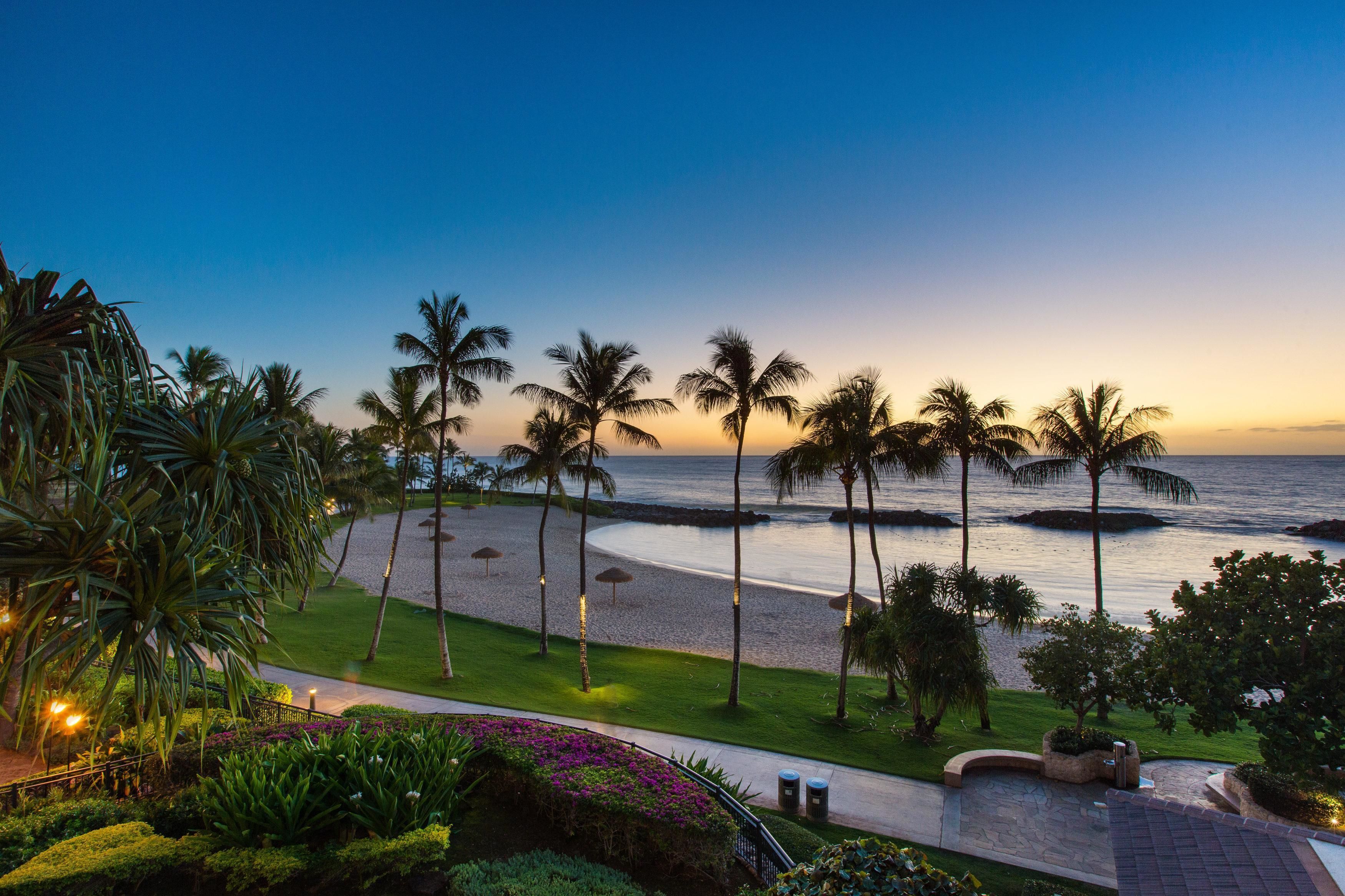 الإطلالة من المنشأة