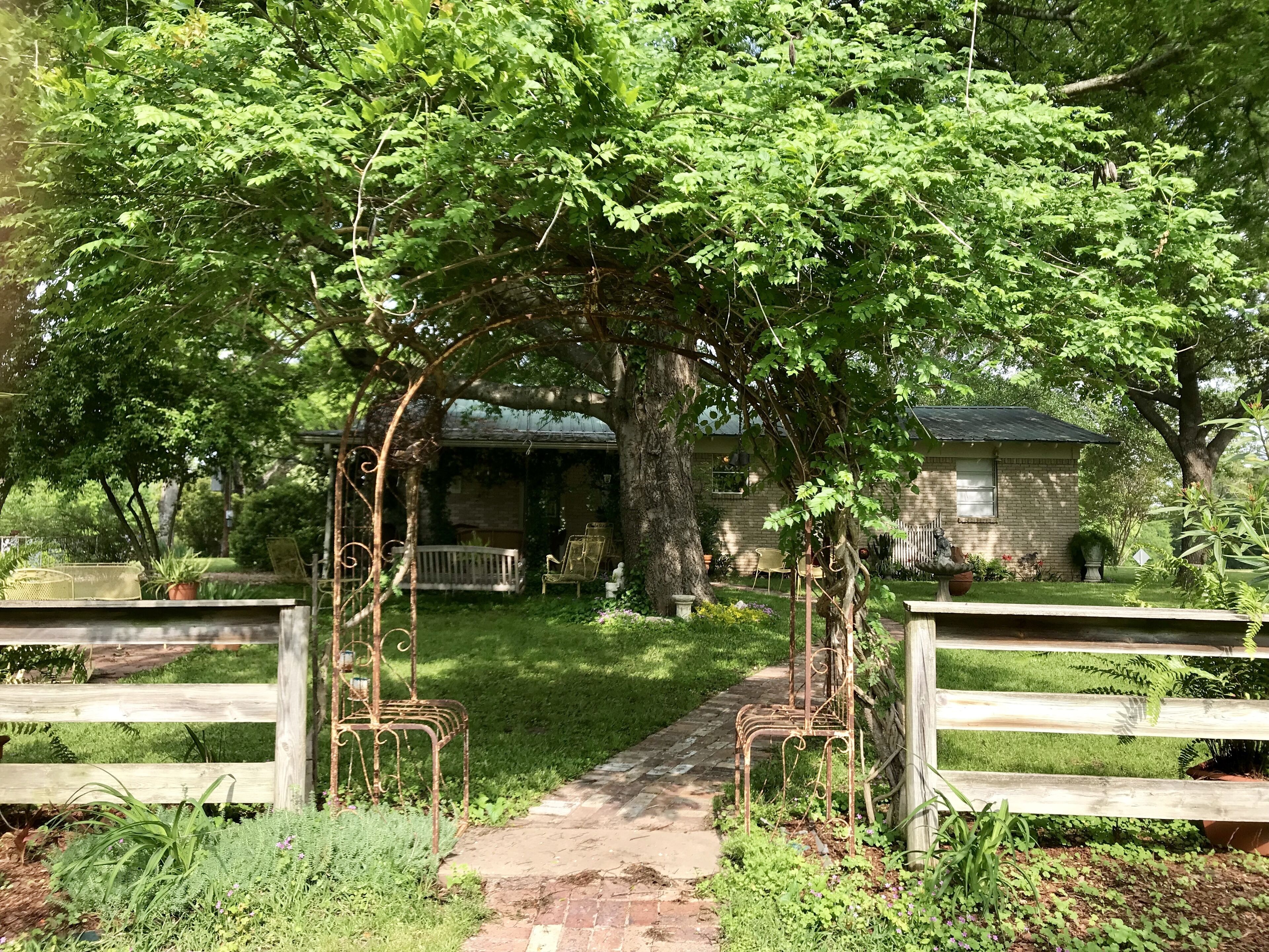 Jardines del alojamiento