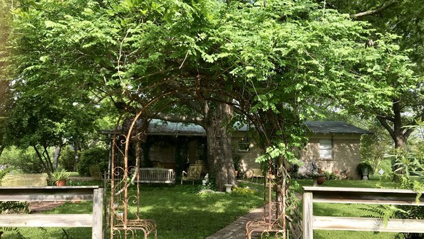 Un chemin de jardin mène à une maison dont la façade est en briques, entourée d’une végétation luxuriante et délimitée par une clôture en bois.