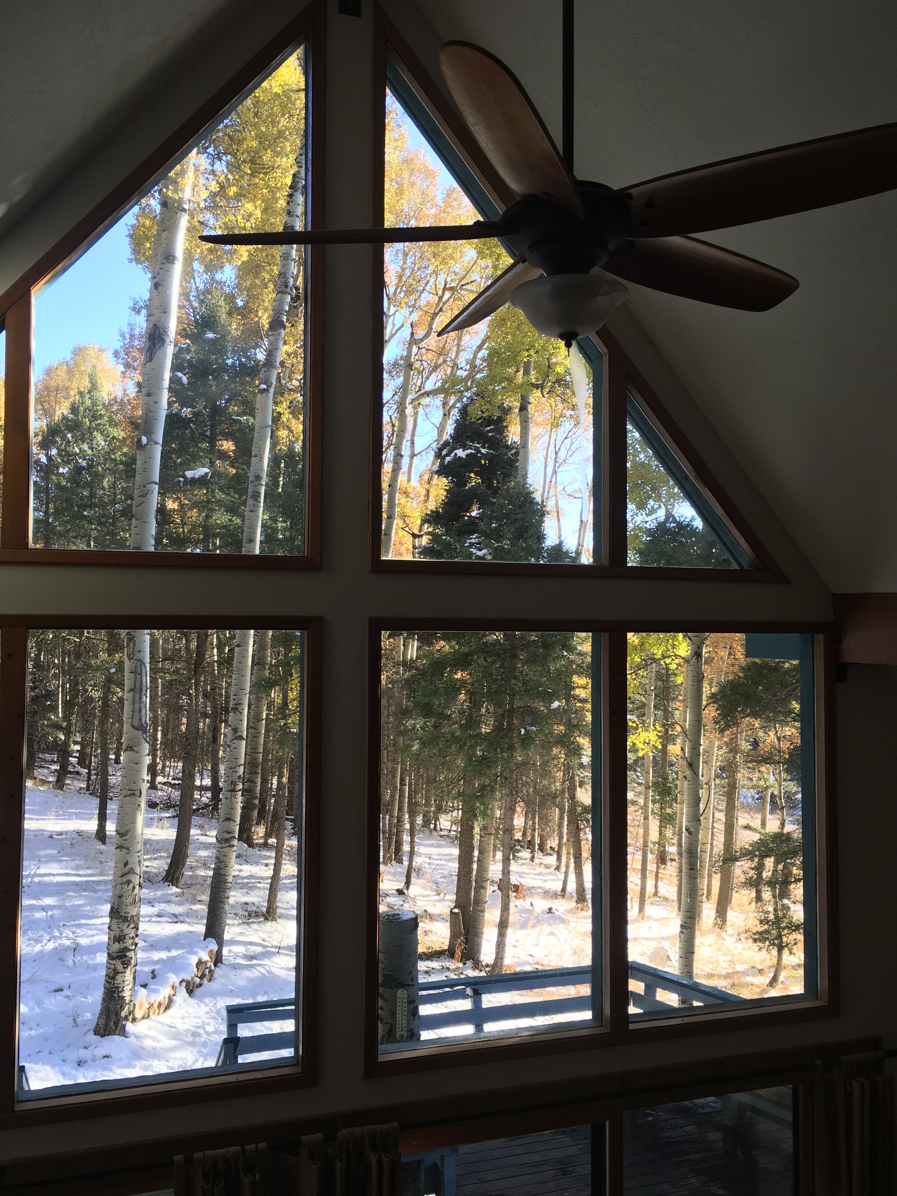 Cabin