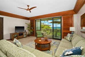 Televisión, reproductor de DVD y libros 