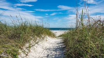 Condo, Multiple Beds (Sea Winds #19) | Beach