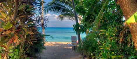 Playa en los alrededores