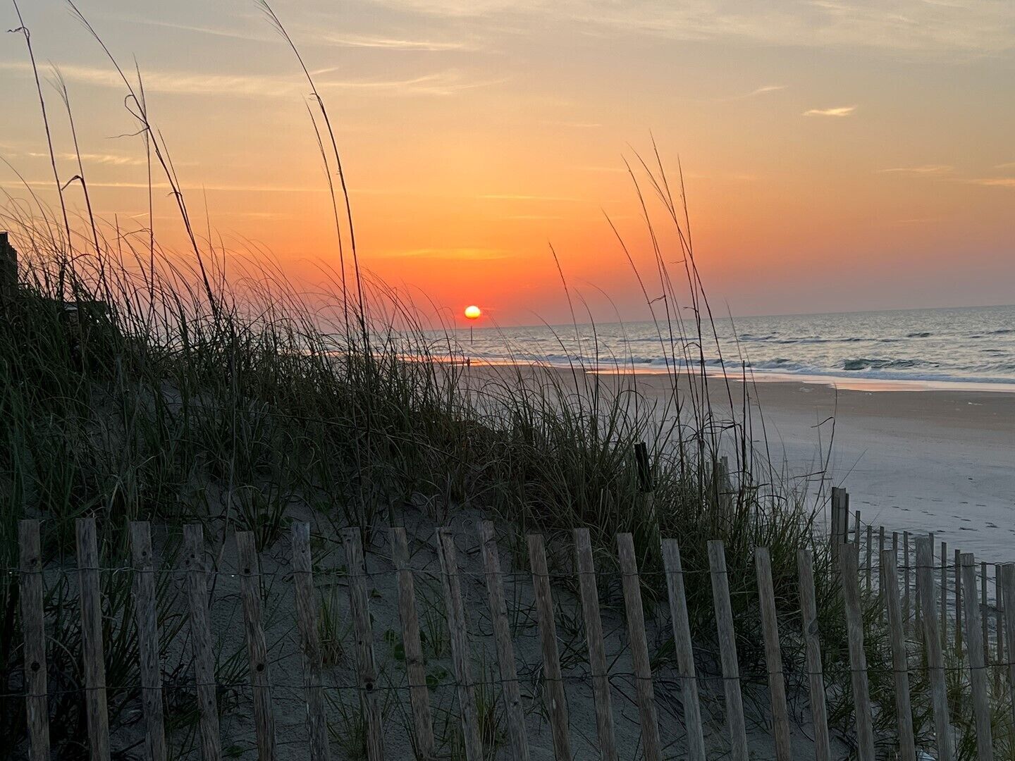 Pineapple Paradise- Now accepting 4 night stays