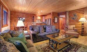 Smart TV, fireplace, DVD player, books