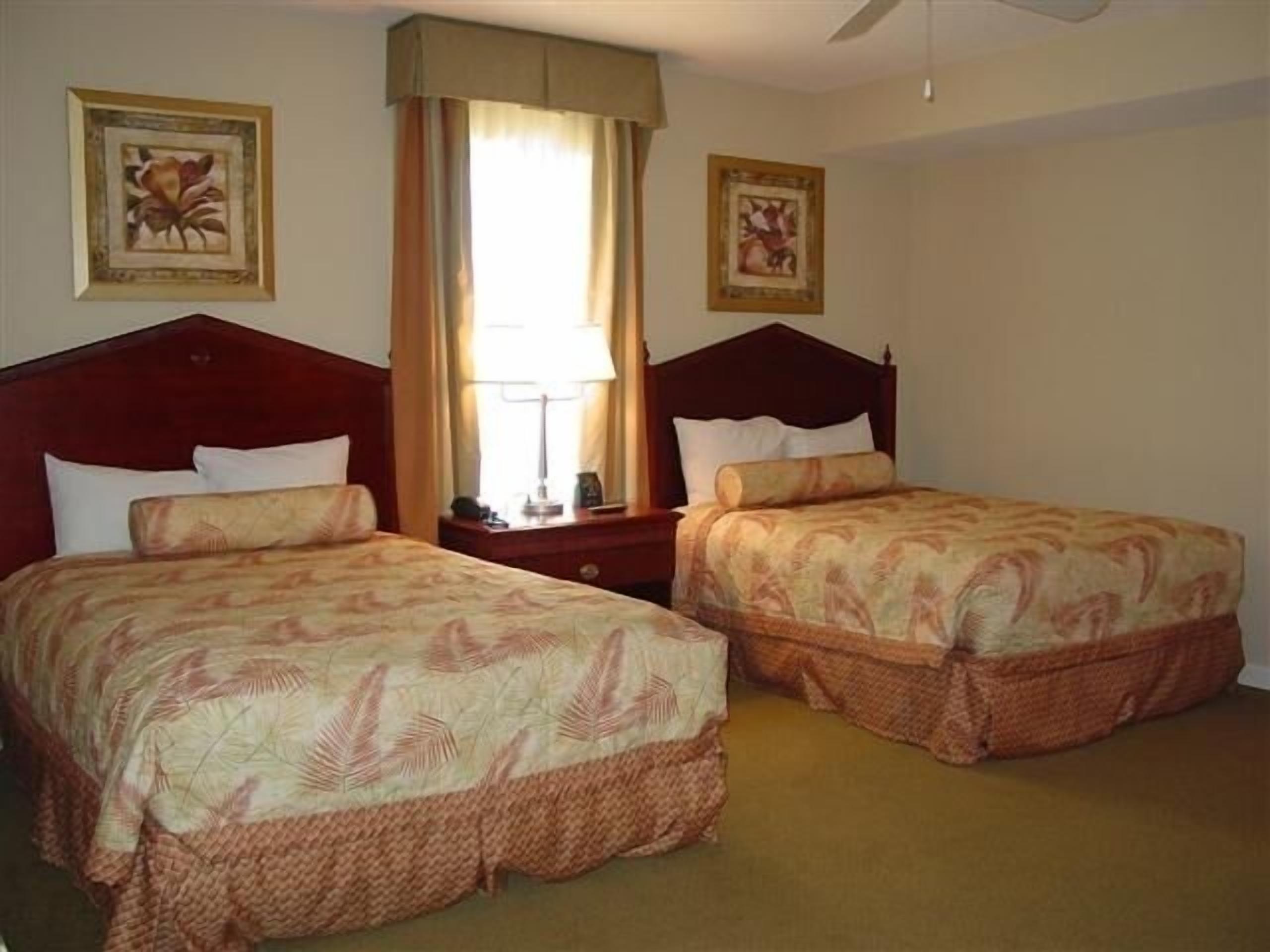 Een hotelkamer met twee eenpersoonsbedden, een nachtkastje met een lamp en een raam met gordijnen.