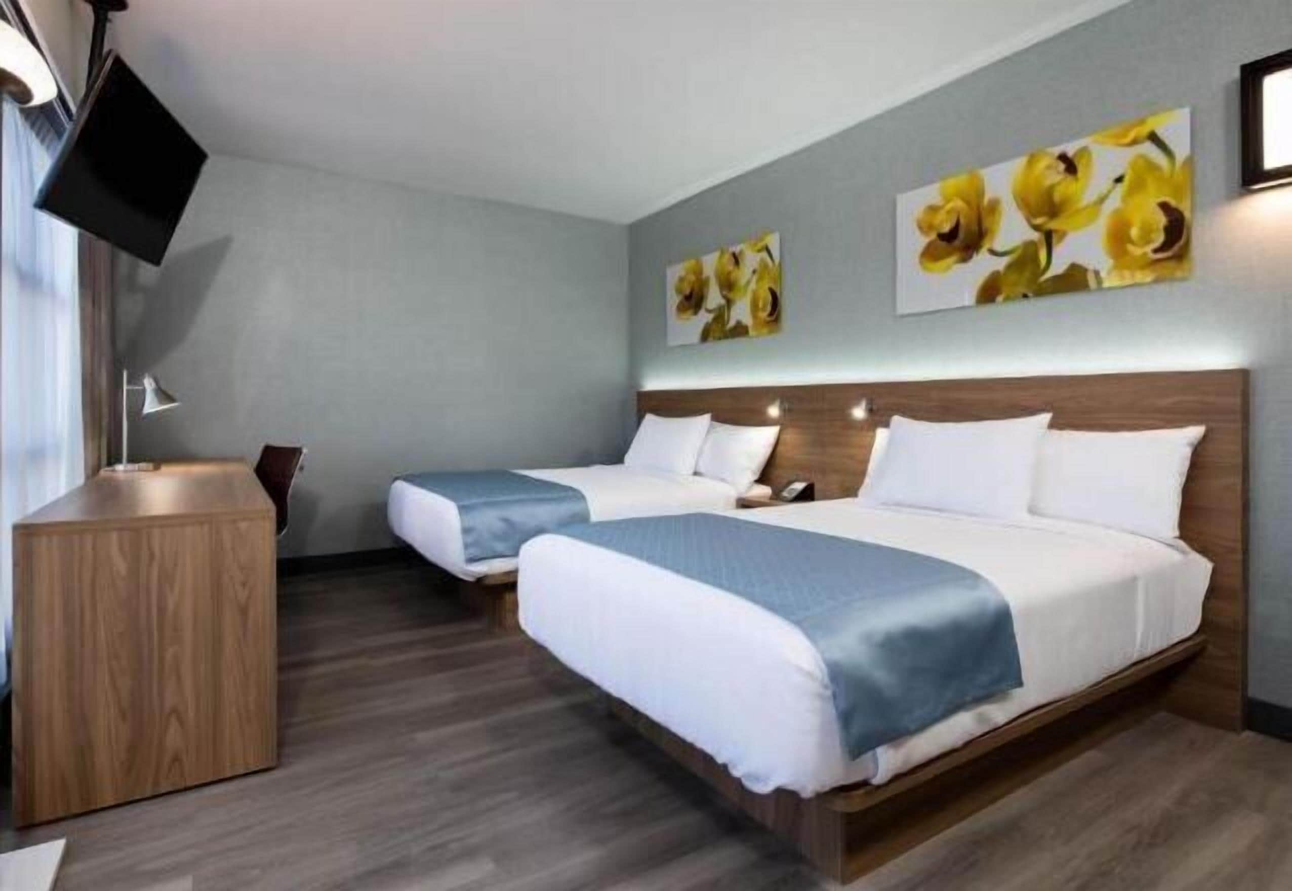 Hypo-allergenic bedding, in-room safe, individually decorated