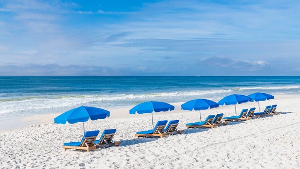 Une plage bordée de rangées de transats bleus et de parasols assortis, disposés en ligne le long du rivage.