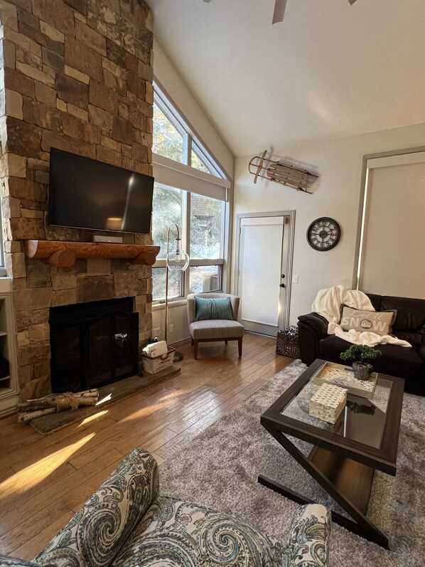 Smart TV, chimenea, reproductor de DVD y libros 