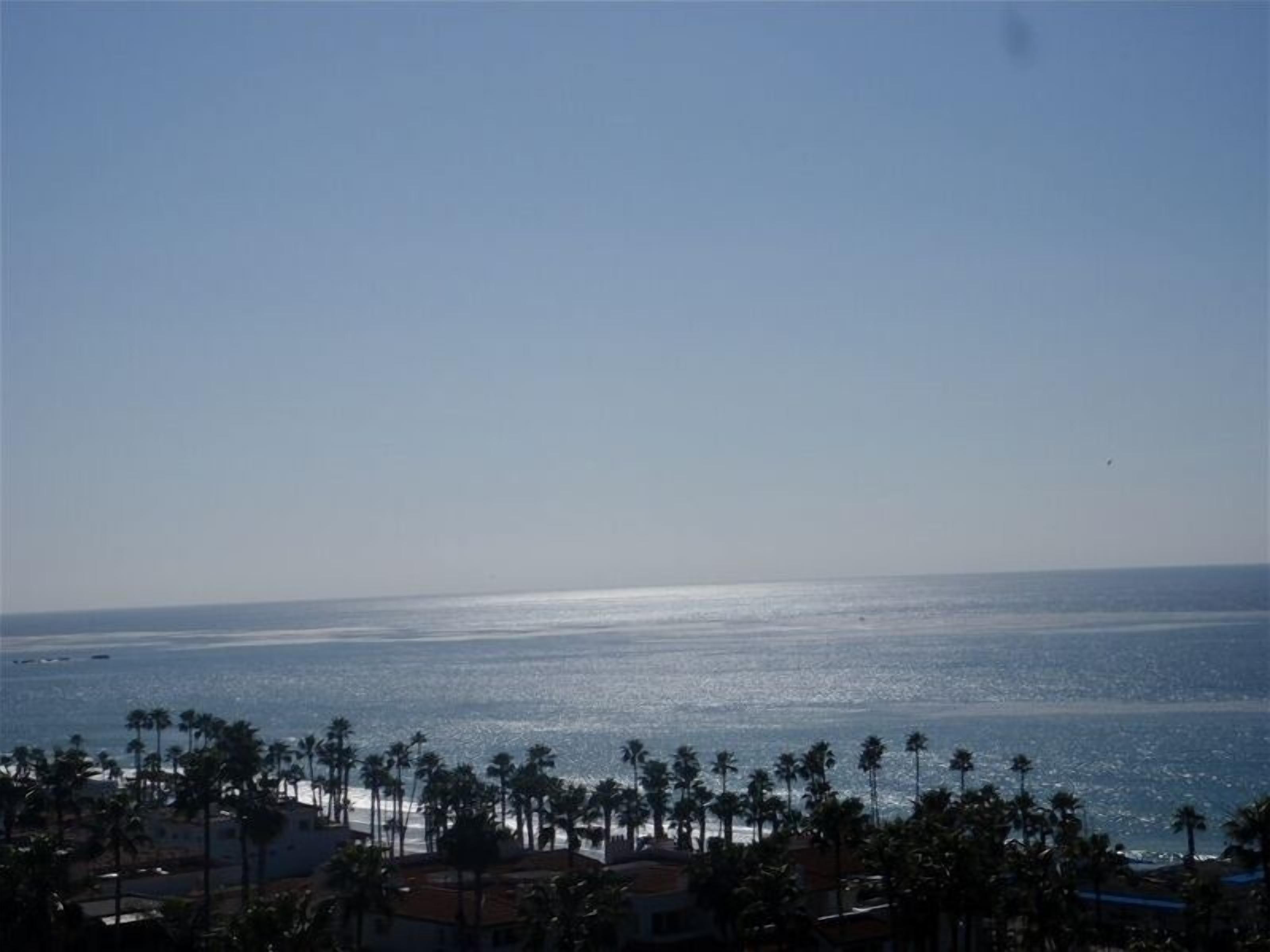 A coastal view with a clear sky, palm trees, and a calm sea.