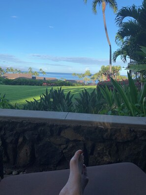 A stone balustrade overlooking a landscaped area with palm trees and a view of the ocean.
