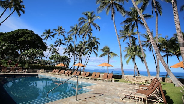 A poolside area with lounge chairs and umbrellas, surrounded by palm trees and a view of the ocean. - Wailea Elua #207 Ocean and Garden View Short Walk to the BEACH ..Not 14 Min (Wailea)