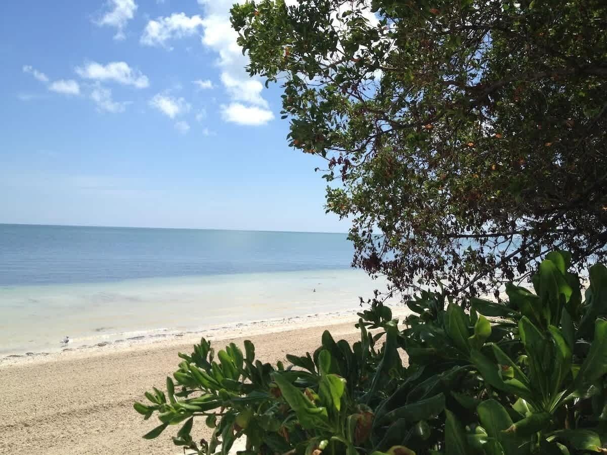 A beach with clear skies and calm waters.