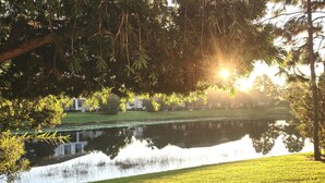 Un parc paisible avec un étang, des arbres et une pelouse.