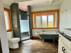 Combined shower/tub, hair dryer, towels