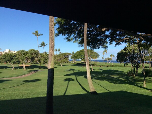 A well-maintained golf course with clear skies and palm trees. - G110 - Ground floor, close to ocean and all amenities, great view (Lahaina)