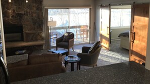 En stue med pejs af natursten, en sofa, et sofabord og et fjernsyn. Der er en skydedør af glas, der fører til en balkon med udendørs møbler.