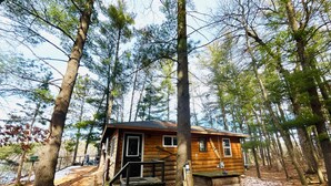 A rustic cabin surrounded by tall trees in a forest.