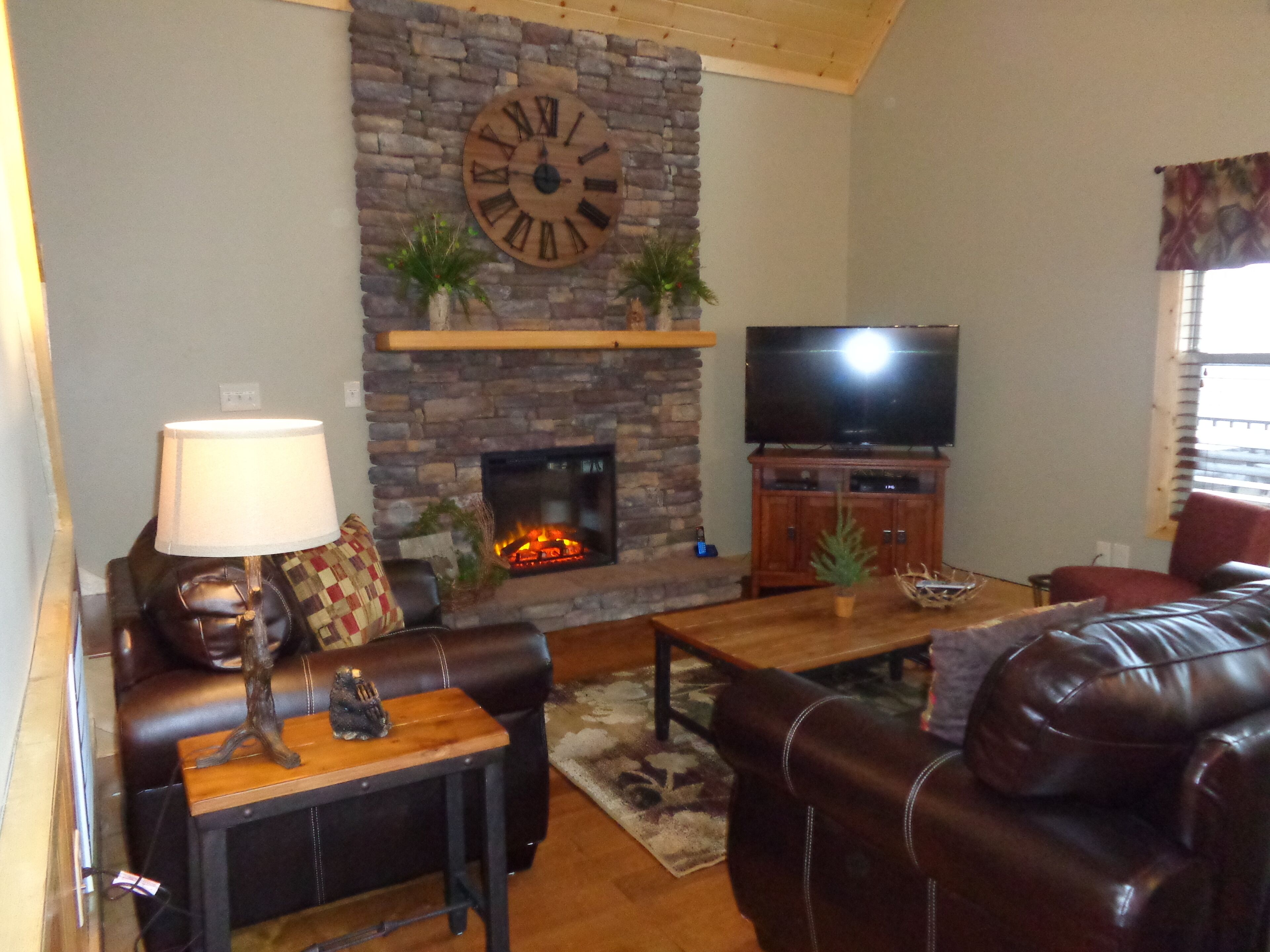 Smart TV, fireplace, books