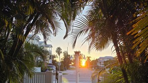 A paved pathway leading to a gated entrance with palm trees on either side.