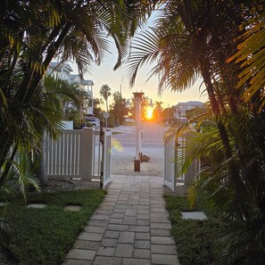A paved pathway leading to a gated entrance with palm trees on either side.